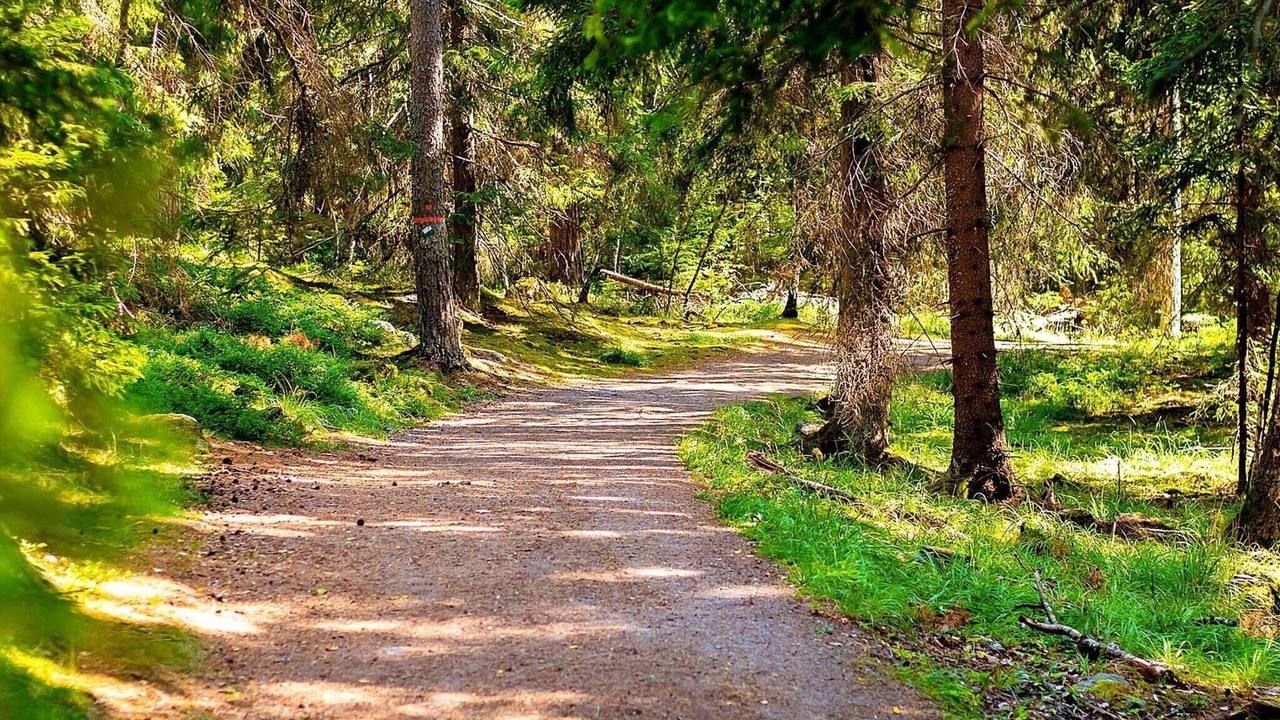 Photo of Outdoor in Ljusdal