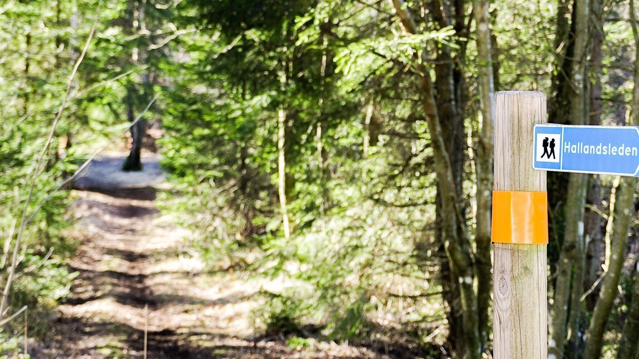Photo of Outdoor in Kungsbacka O