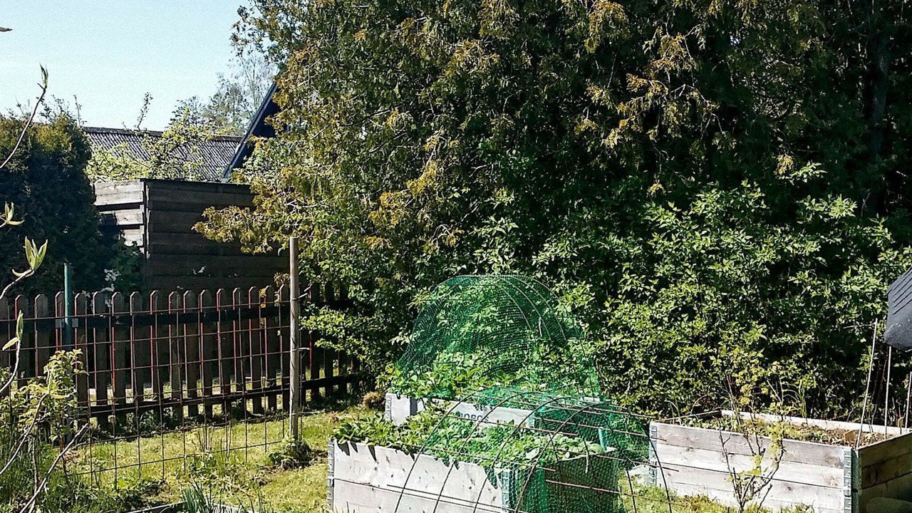 Photo of Outdoor in Beddingestrand