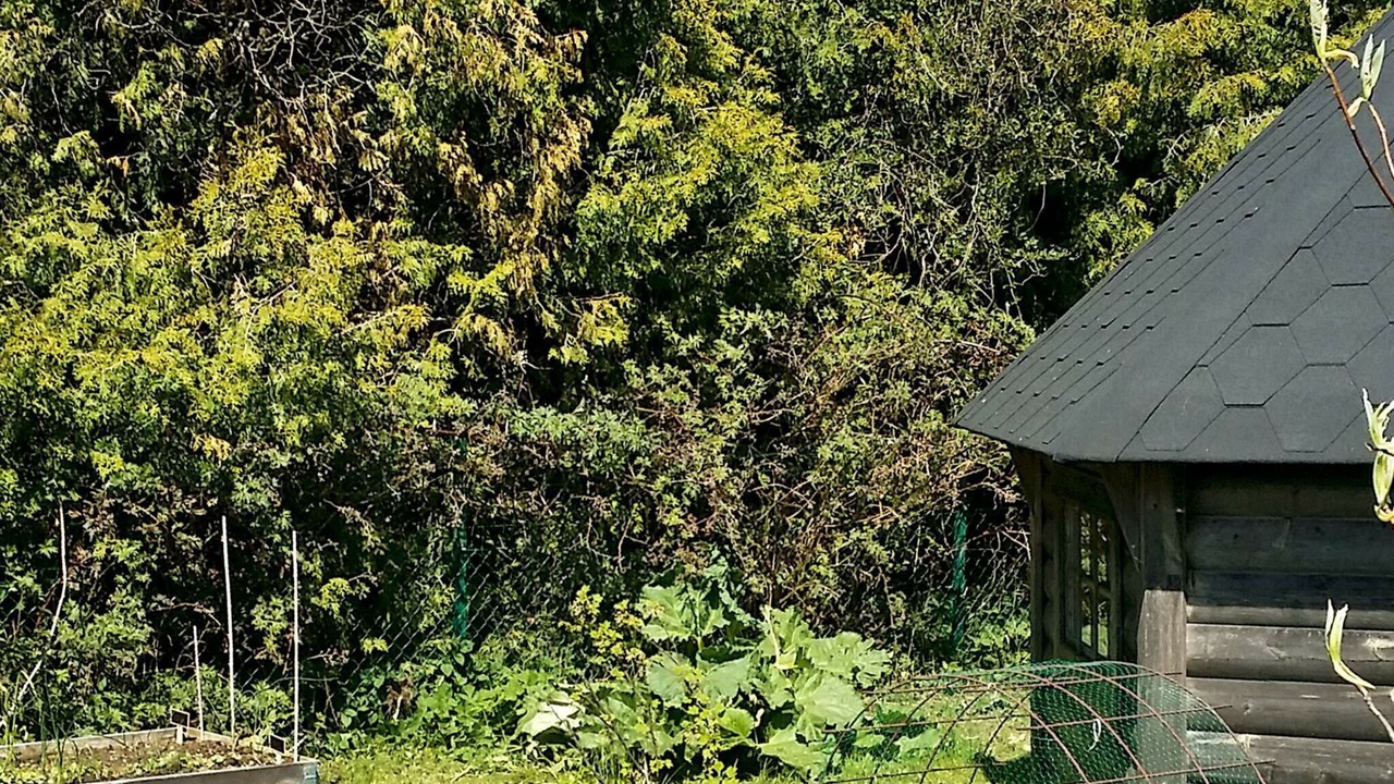 Photo of Outdoor in Beddingestrand