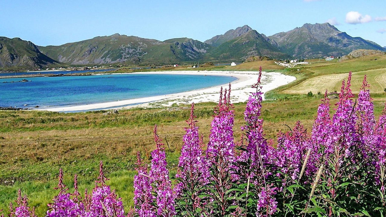 Photo of Others in Sortland