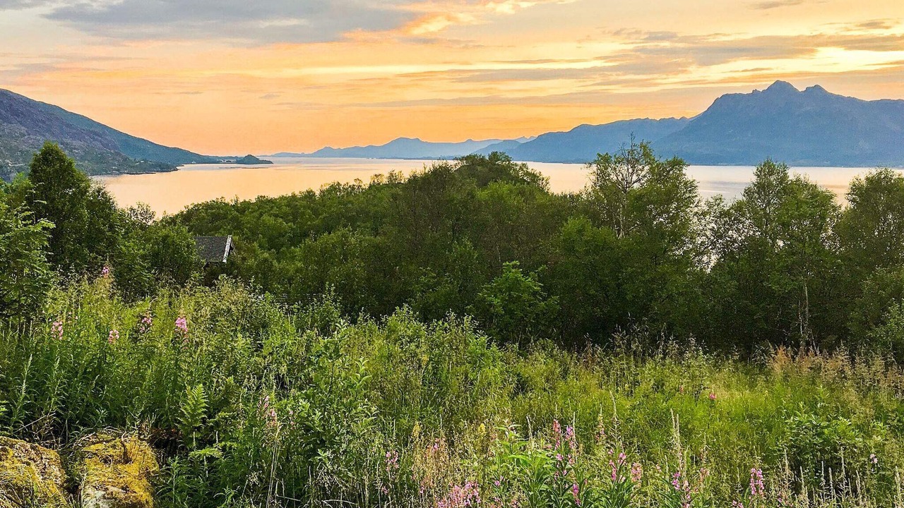 Photo of Outdoor in Sortland