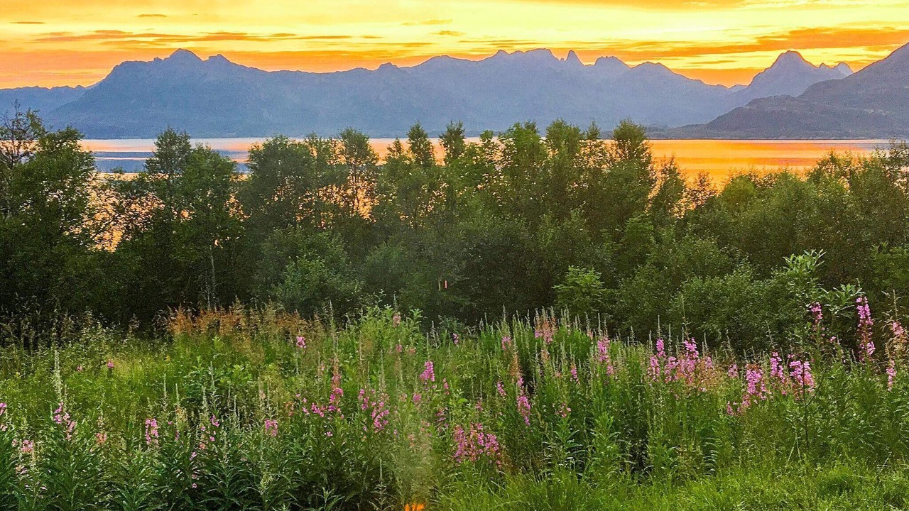 Photo of Outdoor in Sortland