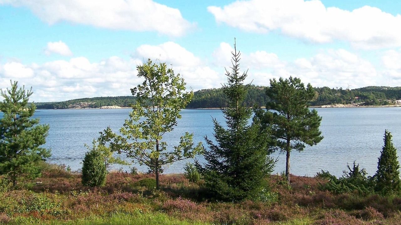 Photo of Outdoor in Tanum