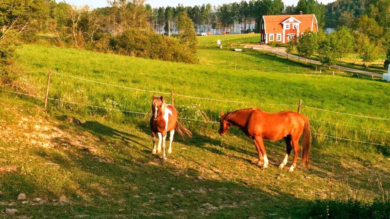 Photo of Outdoor in Stjarnhov
