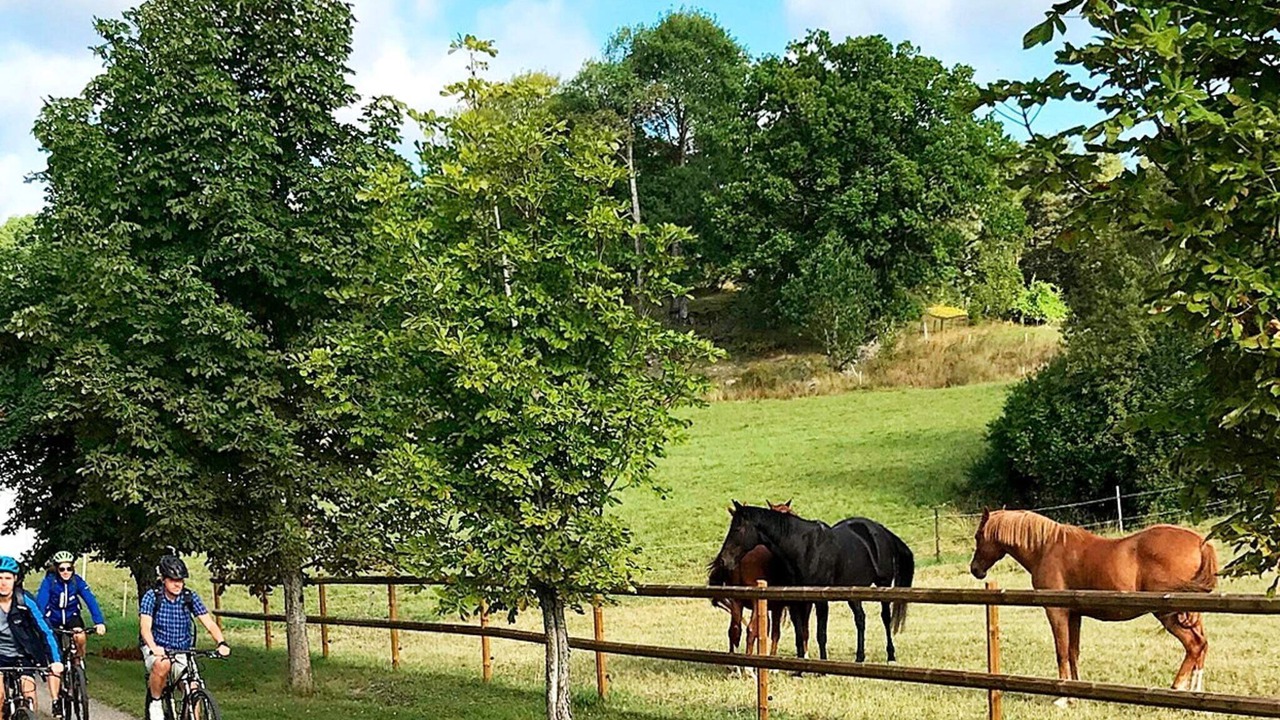 Photo of Outdoor in Stjarnhov