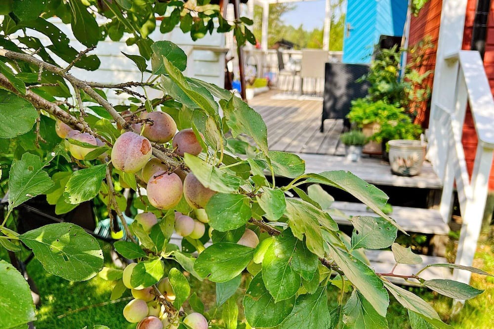 Photo of Outdoor in Bergshamra