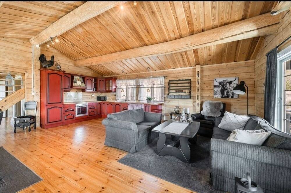 Photo of Livingroom in Nissedal
