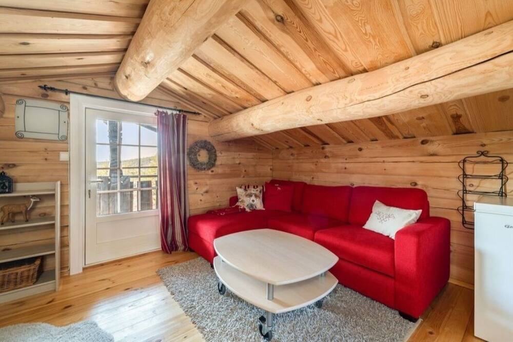 Photo of Livingroom in Nissedal