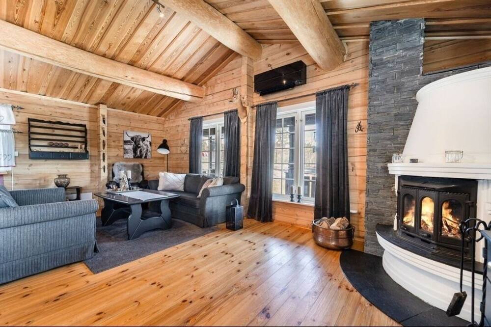 Photo of Livingroom in Nissedal