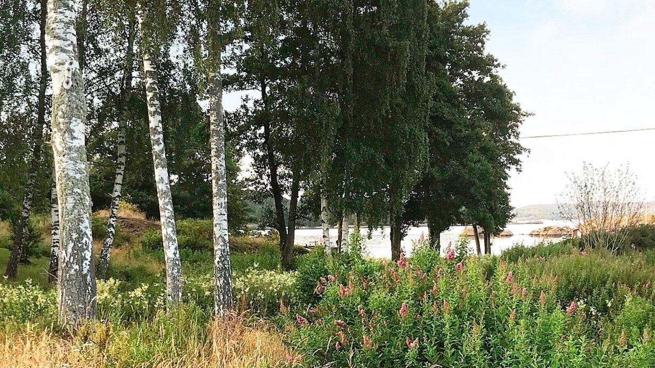 Photo of Outdoor in Vastra Gotaland