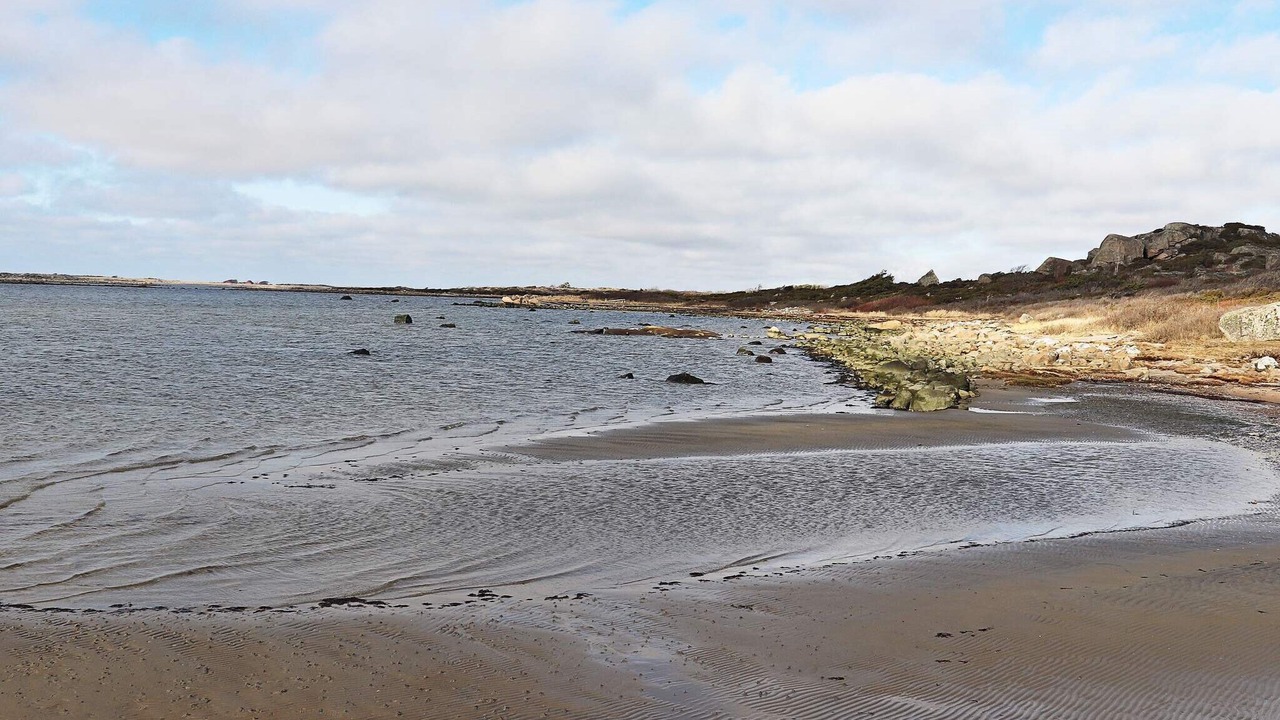 Photo of Others in Varberg Municipality