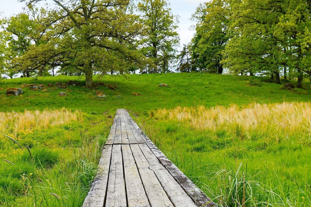 Photo of Outdoor in Flen Municipality
