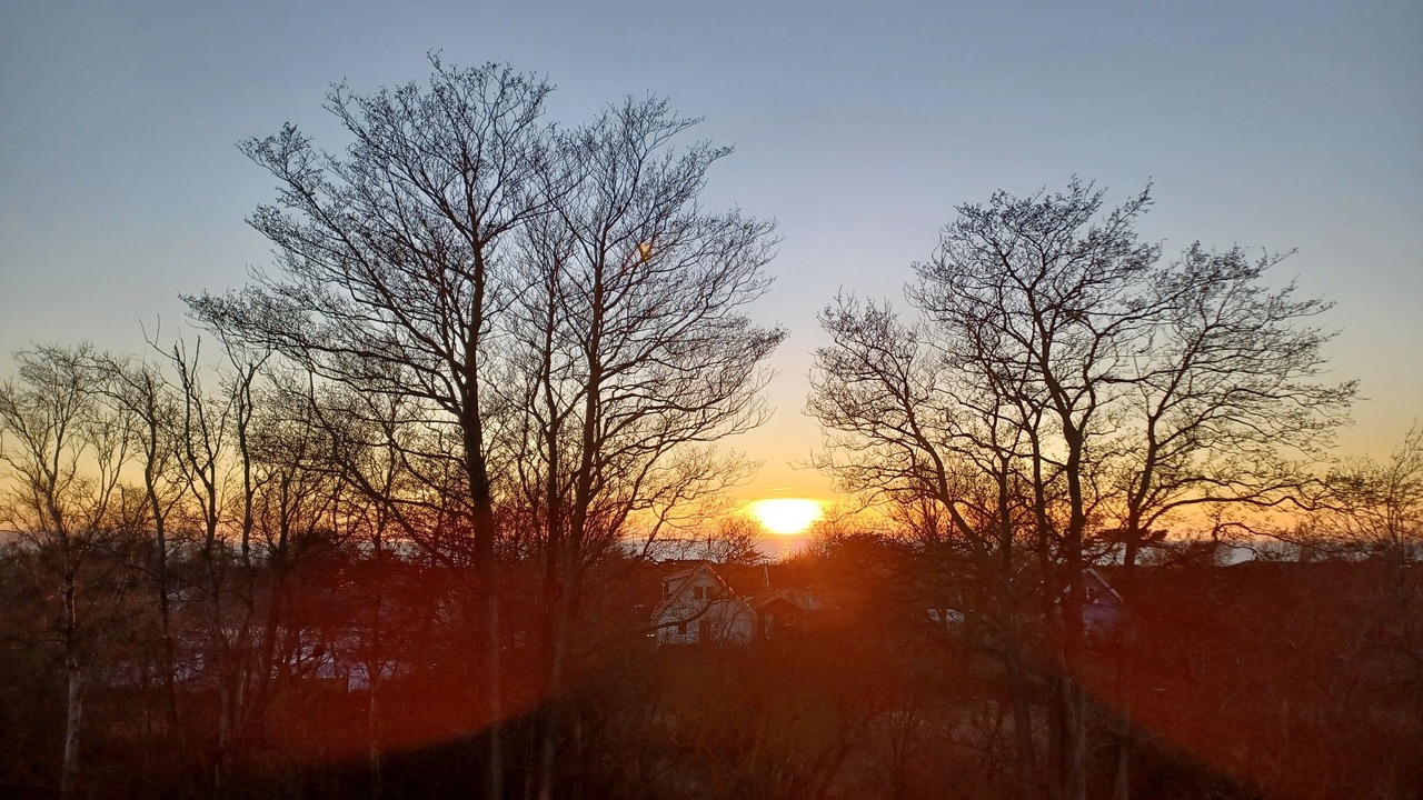 Photo of Others in Mellbystrand