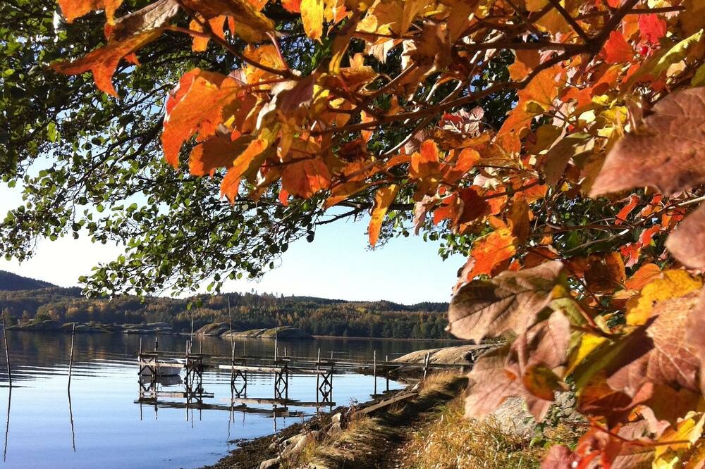 Photo of Outdoor in Uddevalla Municipality