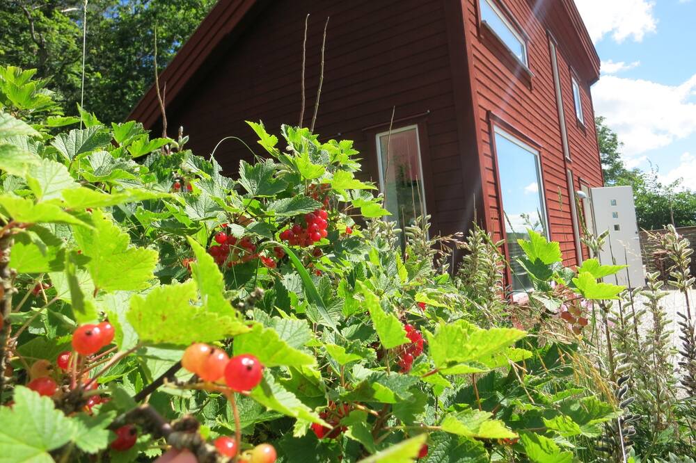 Photo of Outdoor in Uddevalla Municipality