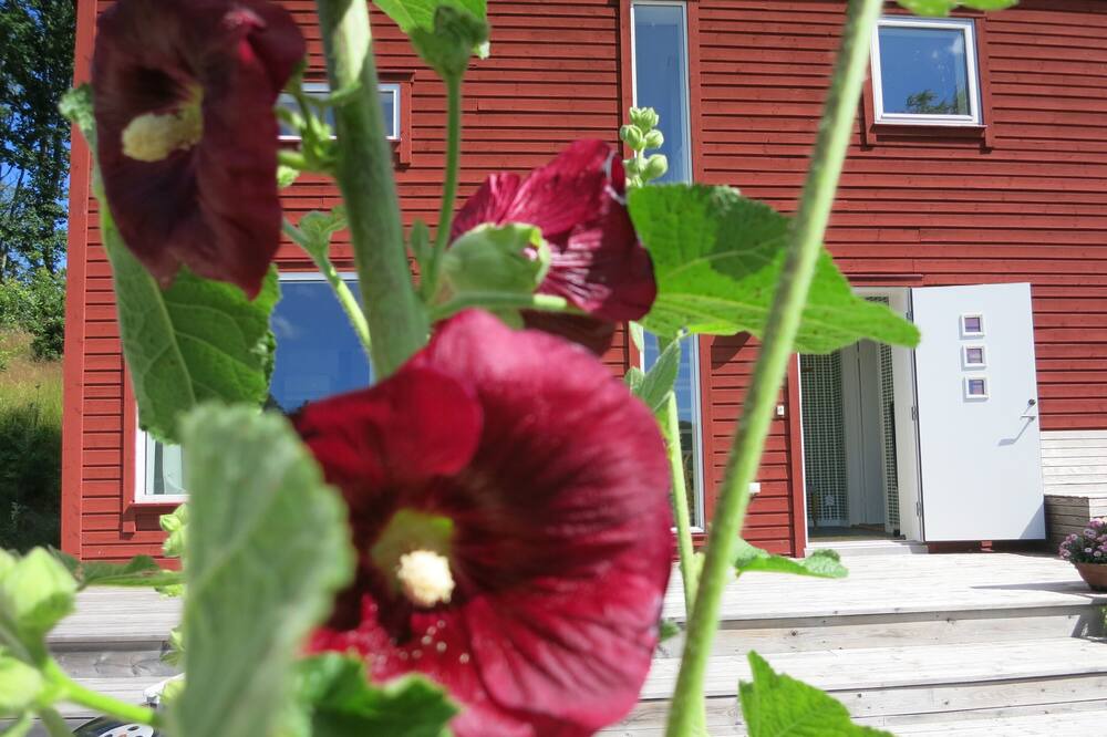 Photo of Outdoor in Uddevalla Municipality