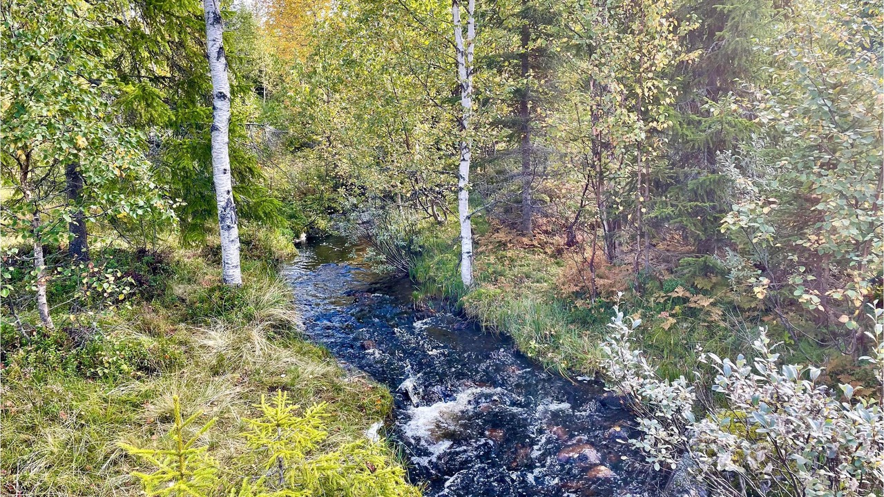 Photo of Outdoor in Gran