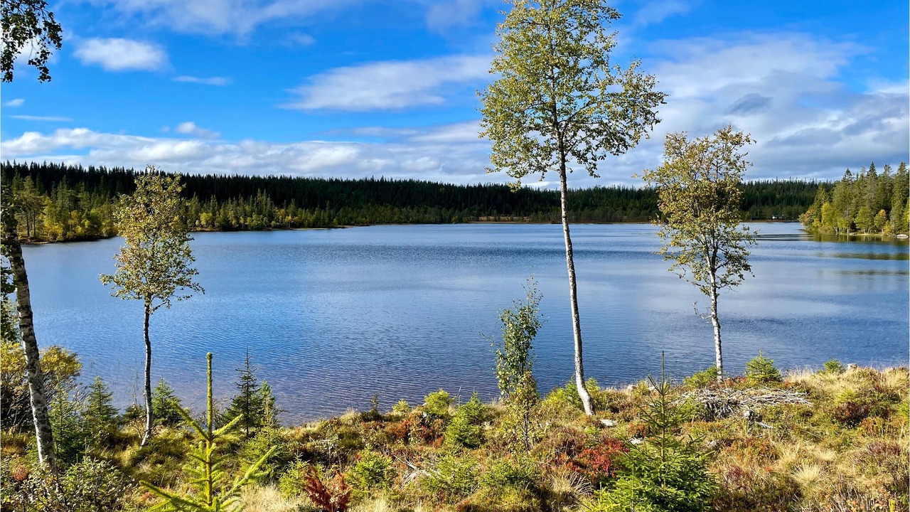 Photo of Outdoor in Gran