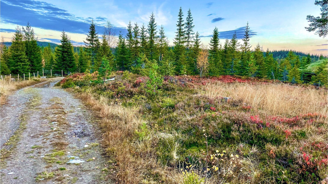 Photo of Outdoor in Gran