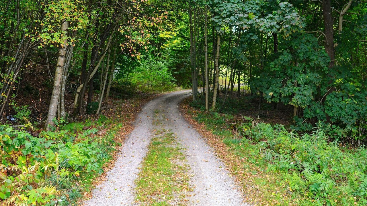 Photo of Outdoor in Vittsjo