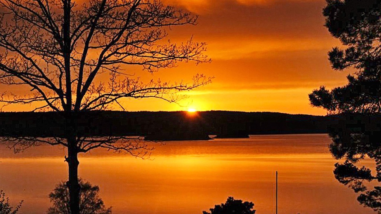Photo of Others in Ljungskile
