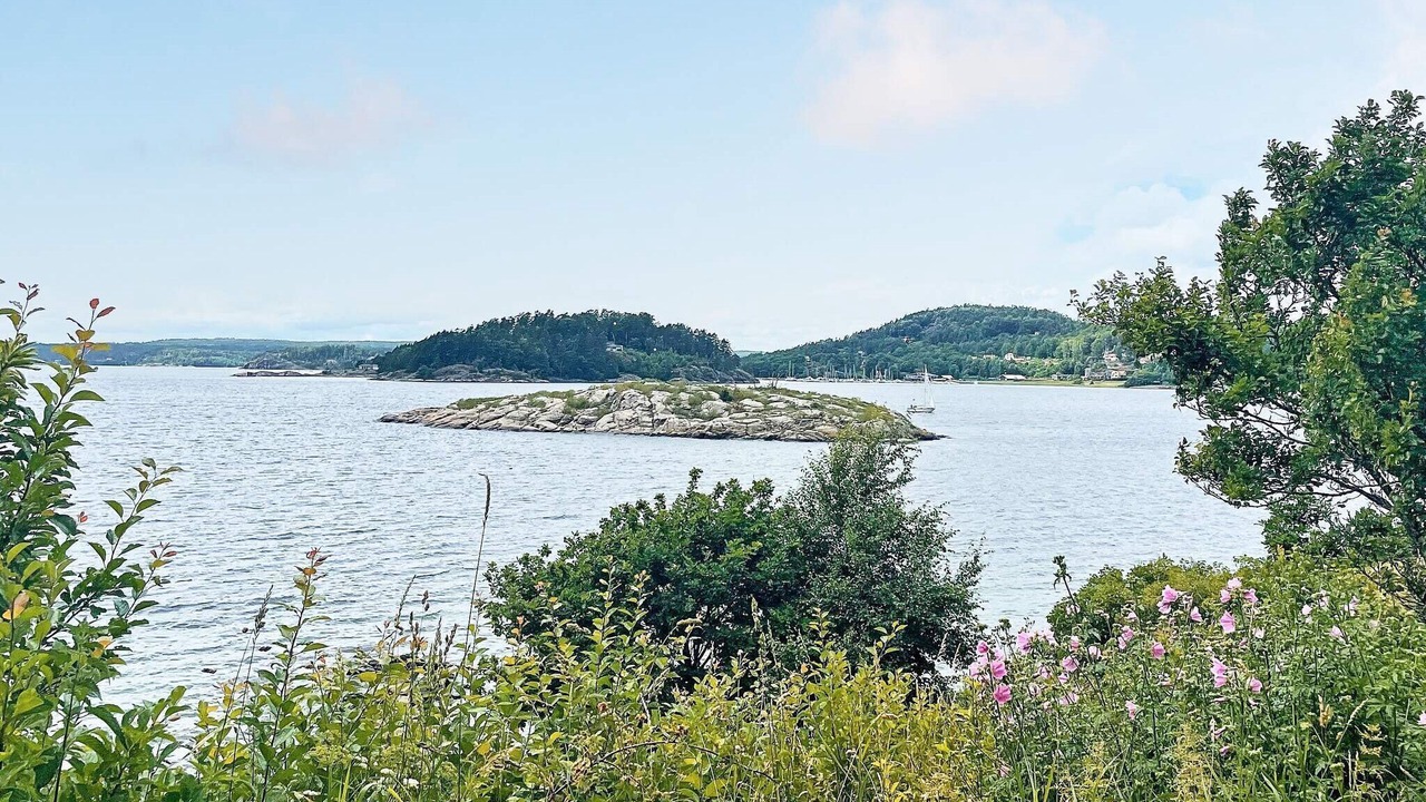 Photo of Others in Ljungskile