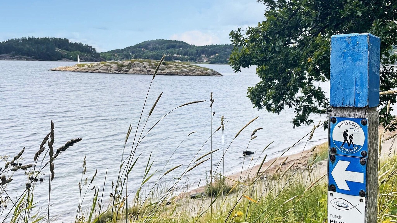 Photo of Others in Ljungskile