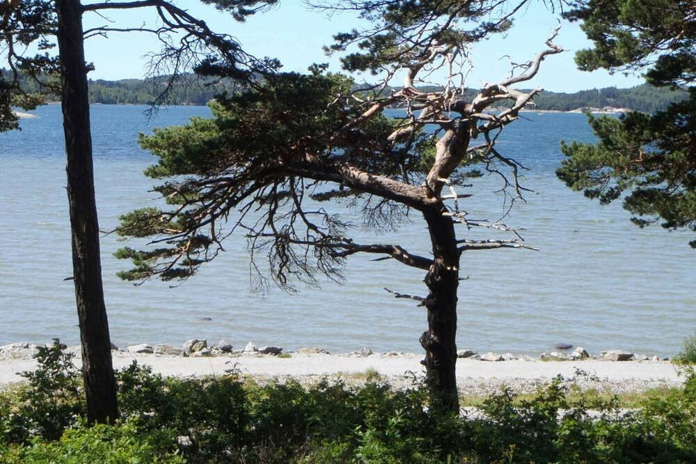 Photo of Others in Stenungsund