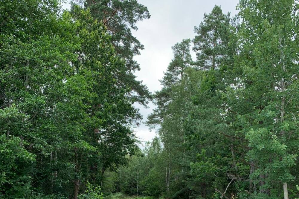 Photo of Outdoor in Arboga