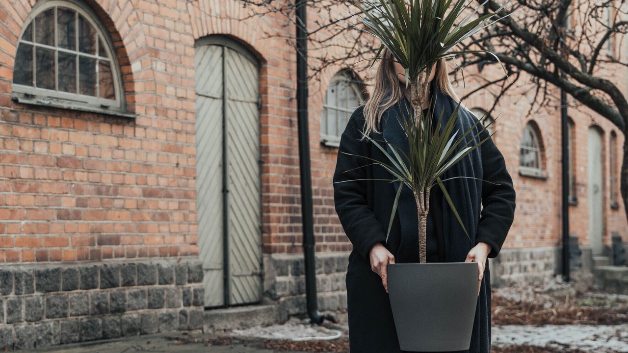 Photo of Outdoor in Uppsala