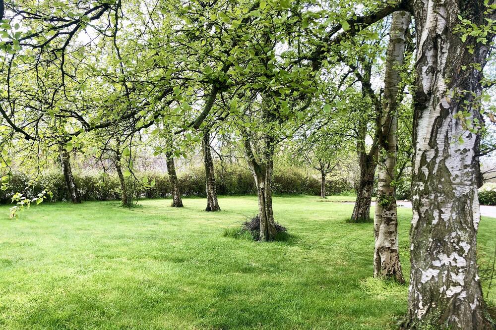 Photo of Outdoor in Simrishamn