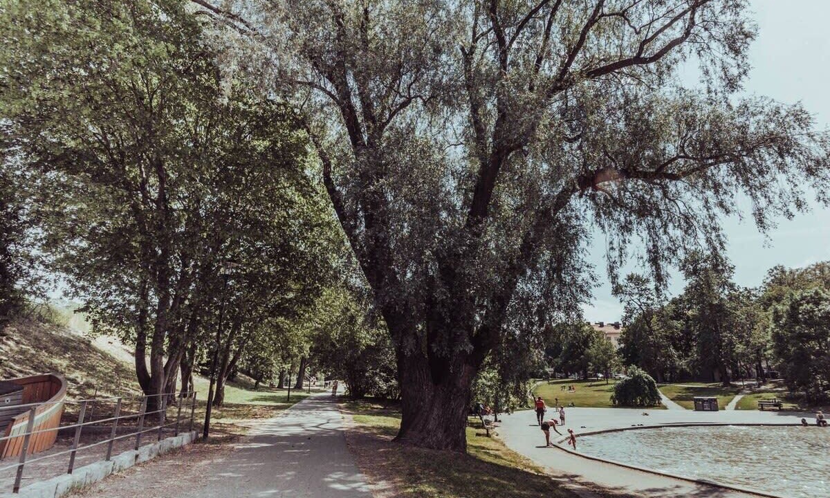 Photo of Others in Kungsholmen