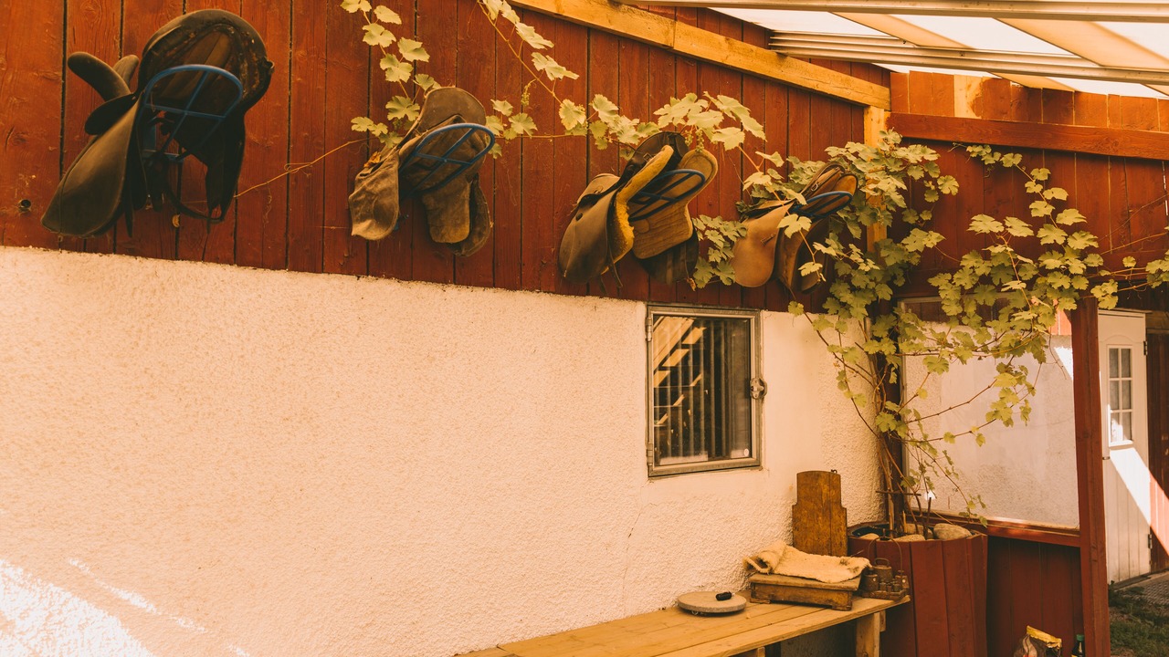 Photo of Outdoor in Brastad