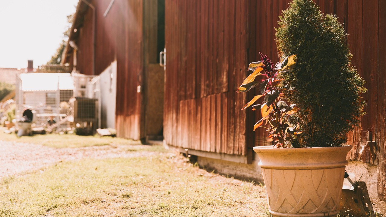 Photo of Outdoor in Brastad