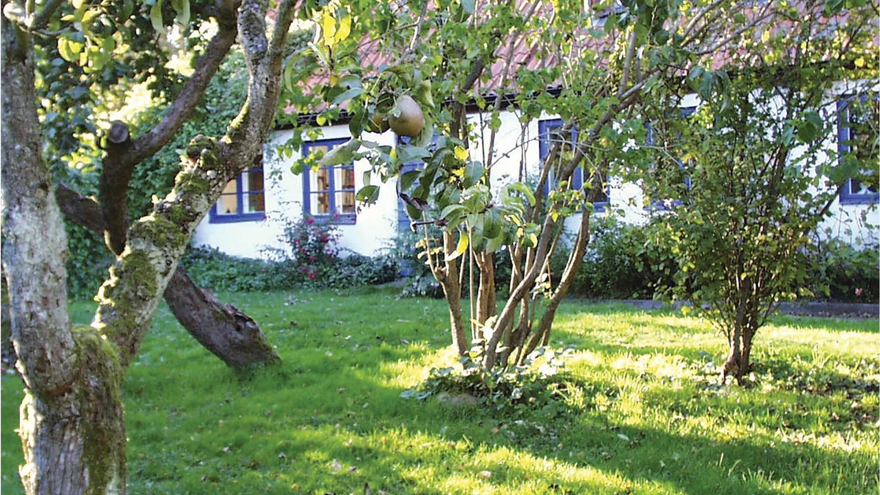 Photo of Outdoor in Borrby