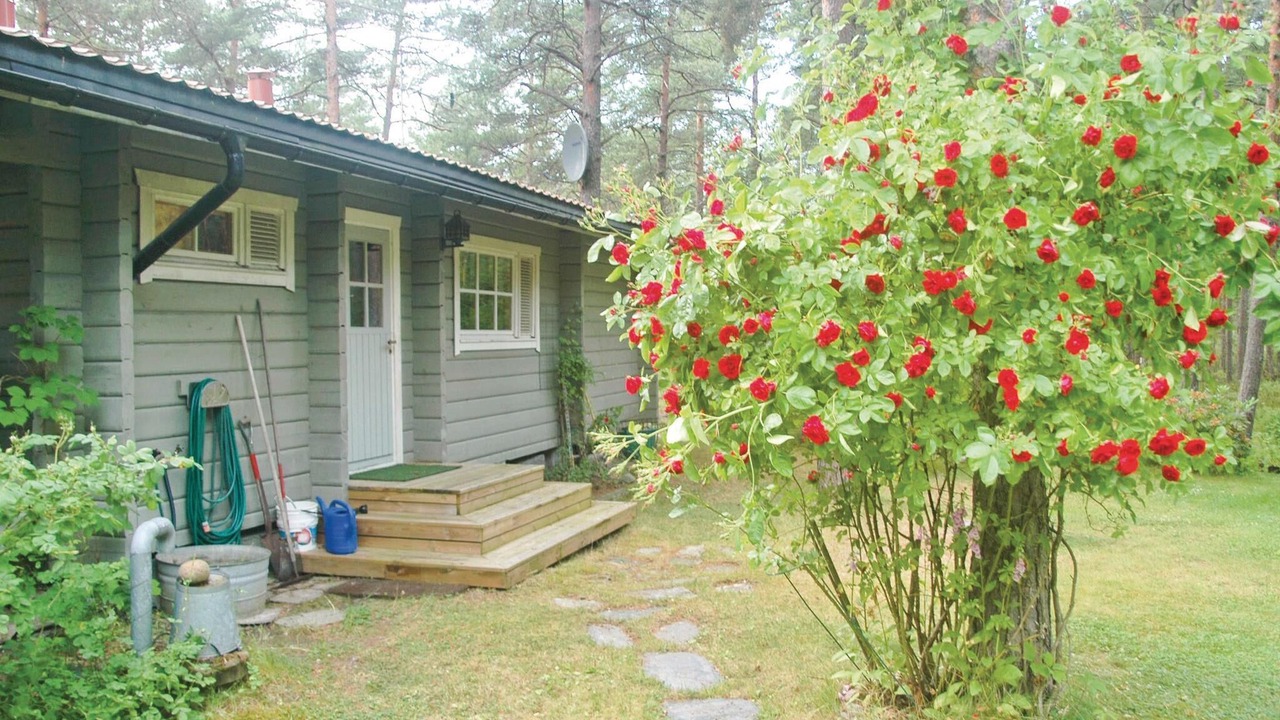 Photo of Outdoor in Hammaro Municipality