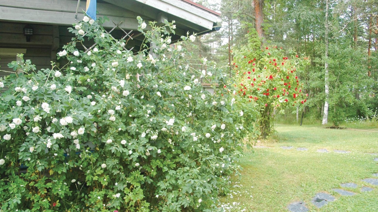 Photo of Outdoor in Hammaro Municipality