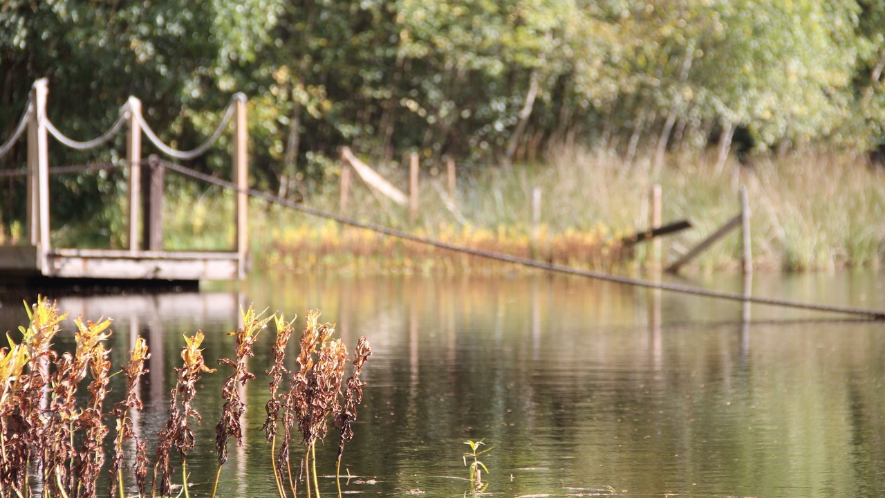 Photo of Outdoor in Sjobo