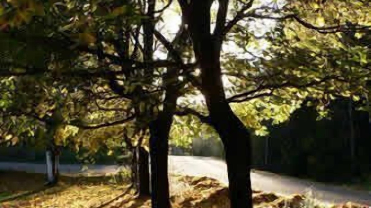 Photo of Outdoor in Asbro