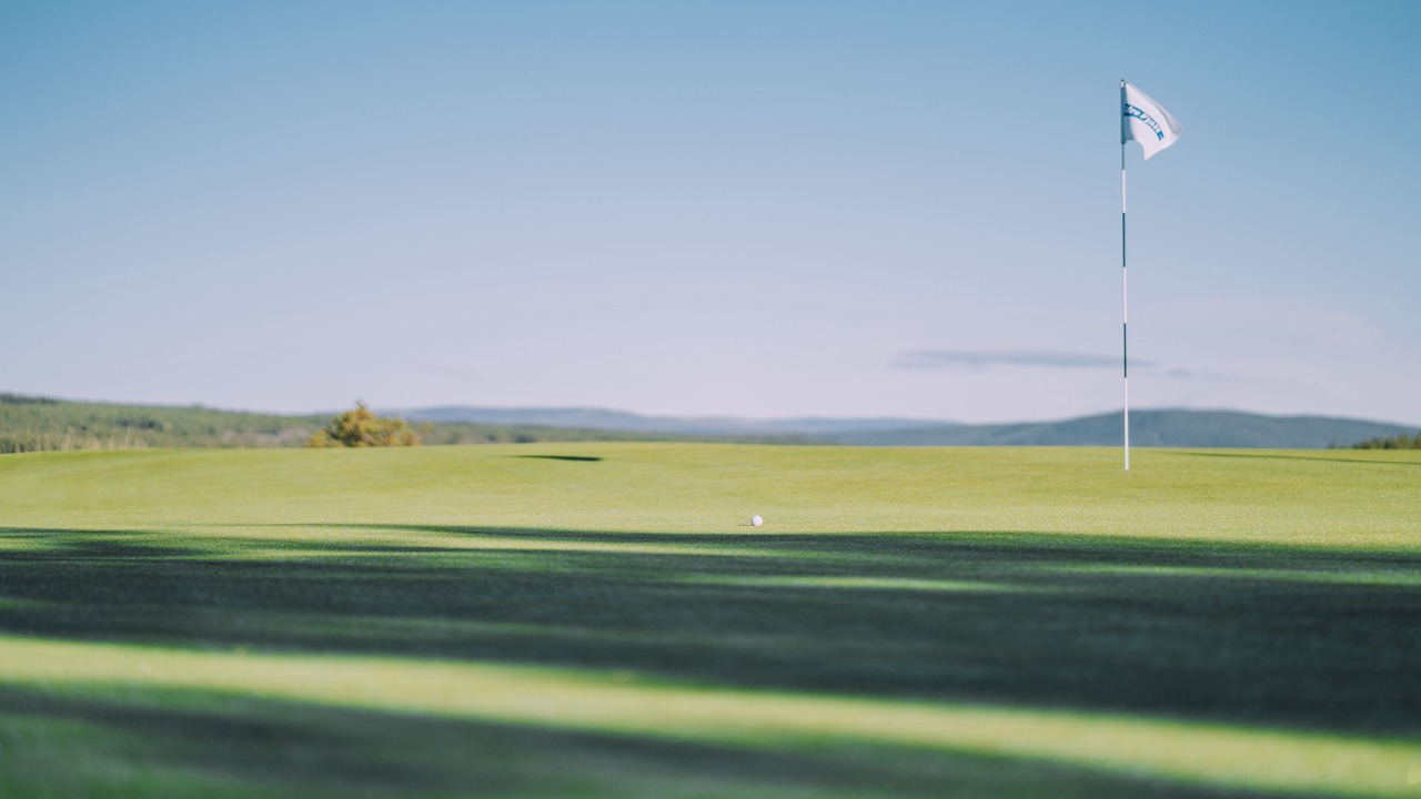 Photo of Others in Idrefjall