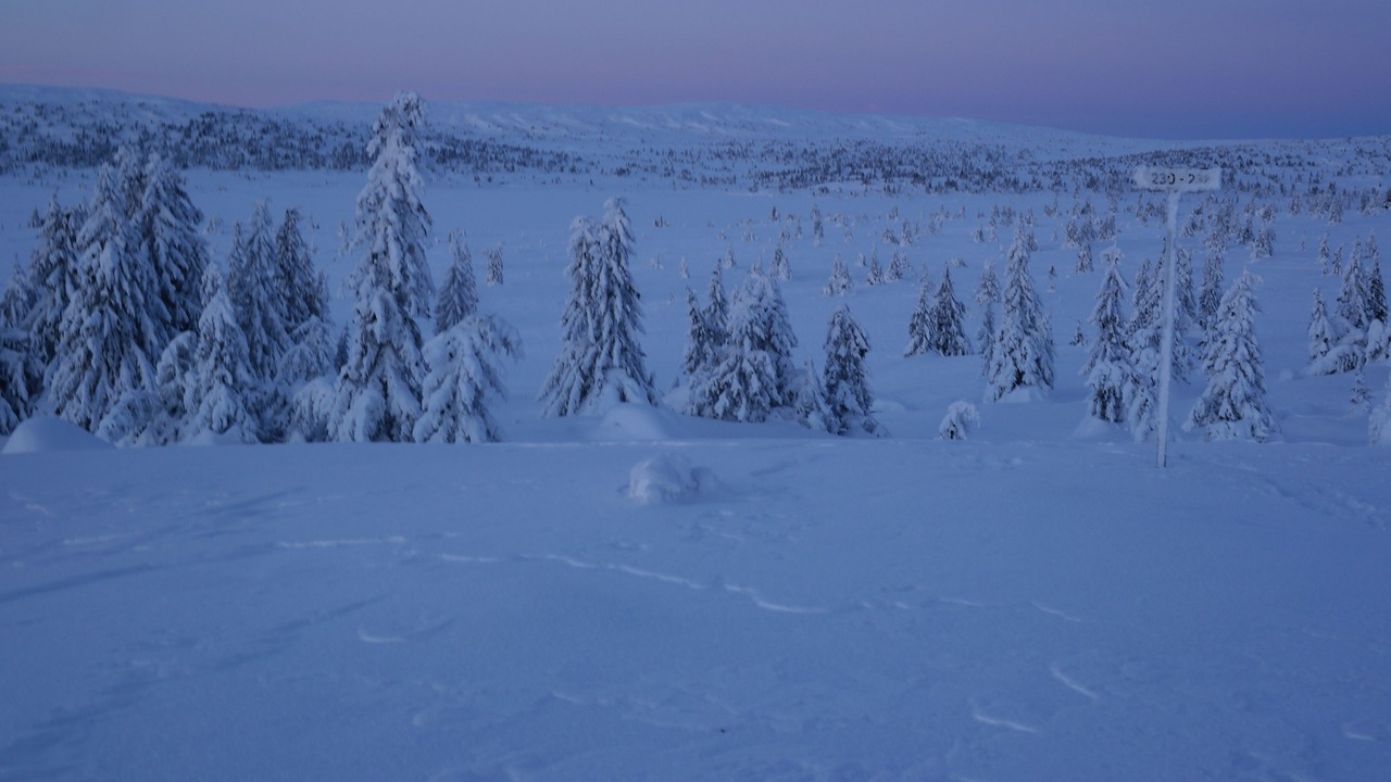Photo of Others in Lillehammer