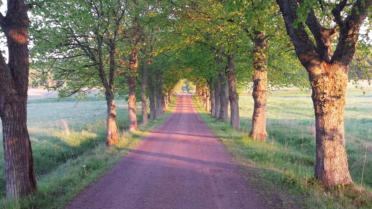 Photo of Outdoor in Hjo Municipality