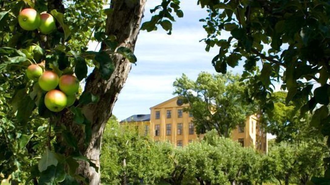 Photo of Outdoor in Knivsta