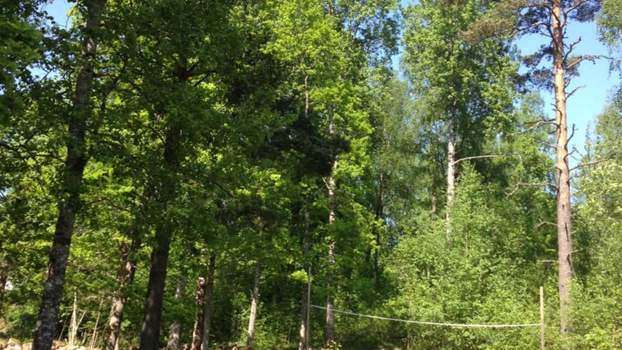 Photo of Outdoor in Mullsjo Municipality