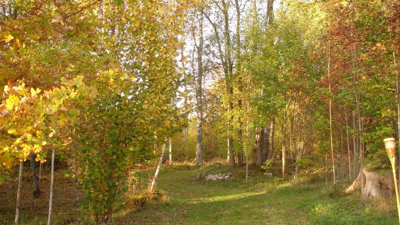 Photo of Outdoor in Mullsjo Municipality