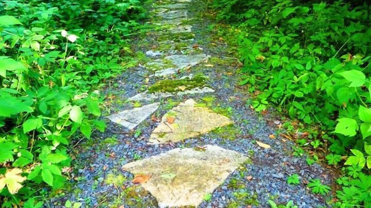 Photo of Outdoor in Mullsjo Municipality