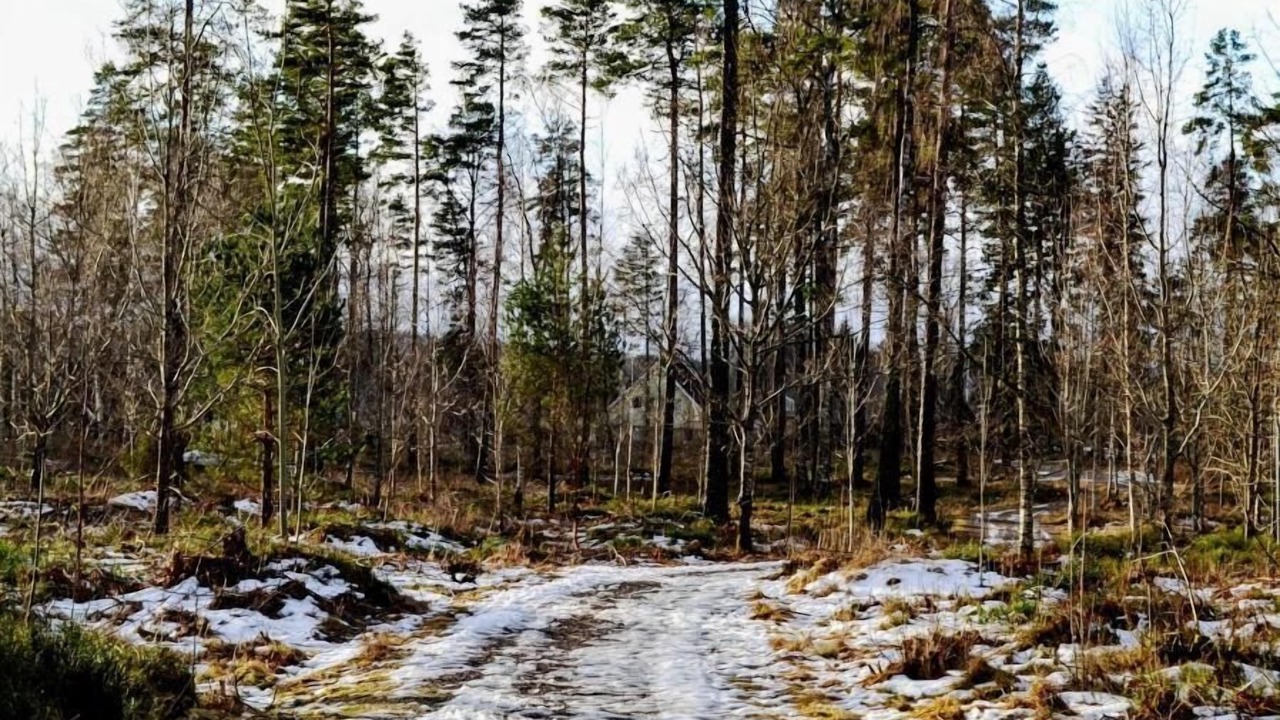 Photo of Outdoor in Mullsjo Municipality