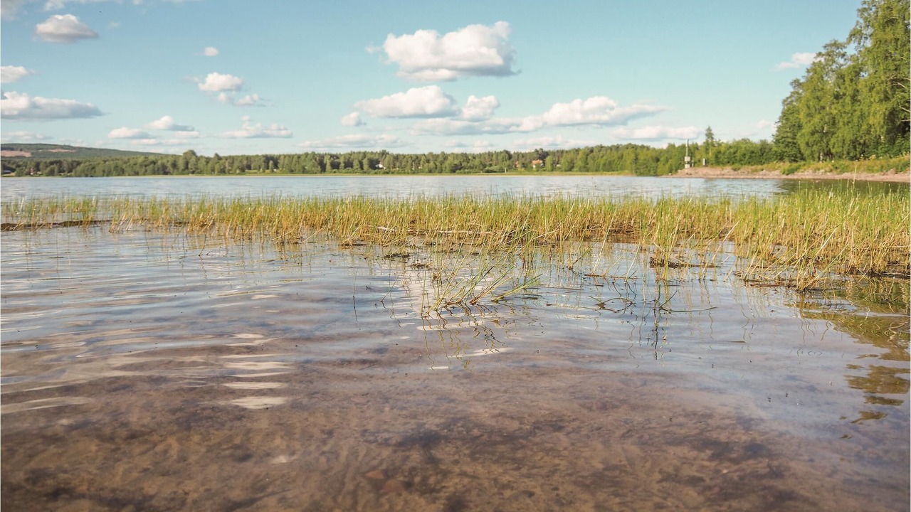 Photo of Others in Lakene