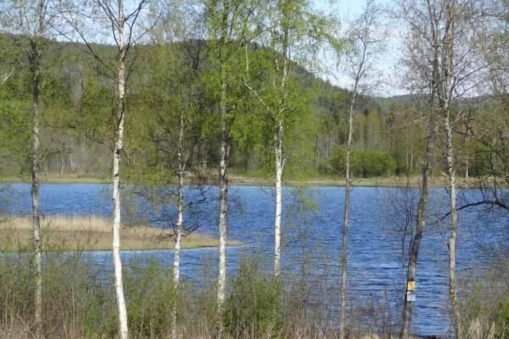 Photo of Outdoor in Ramvik